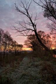 Герасимівка з panoramio.com