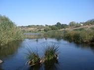 Синюхин Брід з panoramio.com