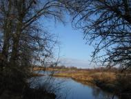 Миси з panoramio.com