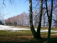 Шевченкове з panoramio.com