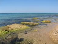 Осипенко з panoramio.com