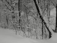 Стаханов з panoramio.com