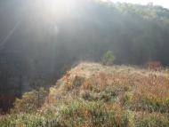 Панікарча з panoramio.com