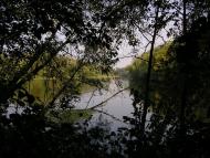 Суха Гомільша з panoramio.com