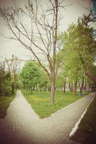 Сарни з panoramio.com