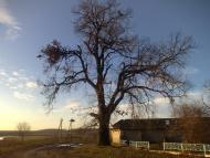 Товстеньке з panoramio.com