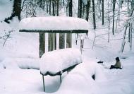 Кобилецька Поляна з panoramio.com