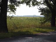 Вітрівка з panoramio.com