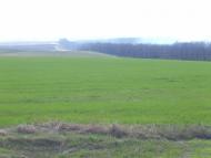 Велика Чернеччина - Останні фото