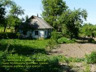 Шпиківка з panoramio.com