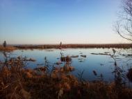 Нова Некрасівка - Останні фото