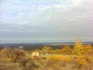 Великий Суходіл - Останні фото