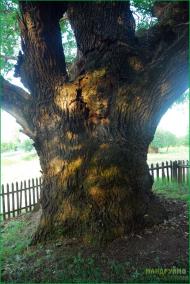 Деревки з panoramio.com