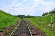 Осикове з panoramio.com