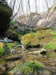 Теребовля з panoramio.com