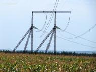 Теплое - Последние фото