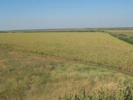 Верхні Сірогози з panoramio.com