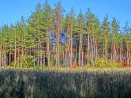 Звенигородка - Останні фото