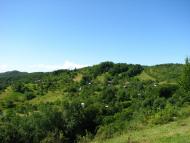 Угля з panoramio.com