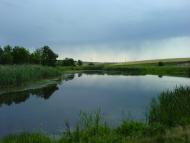 Берестки - Останні фото