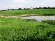 Малинівка - Останні фото