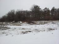 Каштанове з panoramio.com