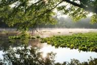 Коропове з panoramio.com