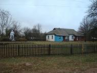 Кованка - Останні фото