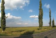 Теплое - Последние фото