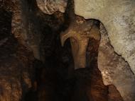 Кривче з panoramio.com