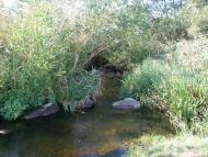 Синюхин Брід з panoramio.com