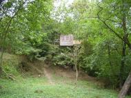 Забрідь з panoramio.com