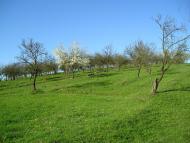 Гончарівка з panoramio.com