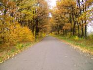 Гордіївка - Останні фото