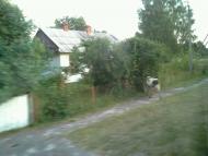 Калинівка з panoramio.com