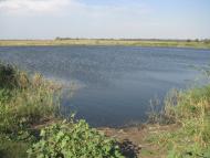 Глеюватка з panoramio.com