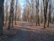 Теплик з panoramio.com