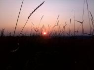 Бричківка з panoramio.com