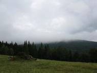 Нижня Рожанка - Останні фото