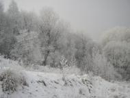 Завосина з panoramio.com (ч.2)