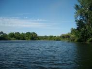Суха Гомільша з panoramio.com