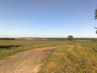 Шабельне з panoramio.com