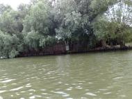 Вилкове з panoramio.com (ч.2)