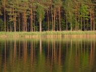 Затишшя з panoramio.com