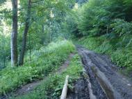 Стужиця з panoramio.com (ч.2)