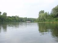 Кияшки з panoramio.com