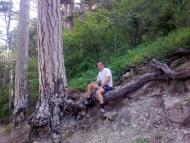 Совєтське з panoramio.com (ч.2)