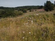 Русин з panoramio.com