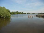 Товстеньке з panoramio.com