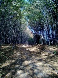 Лука з panoramio.com